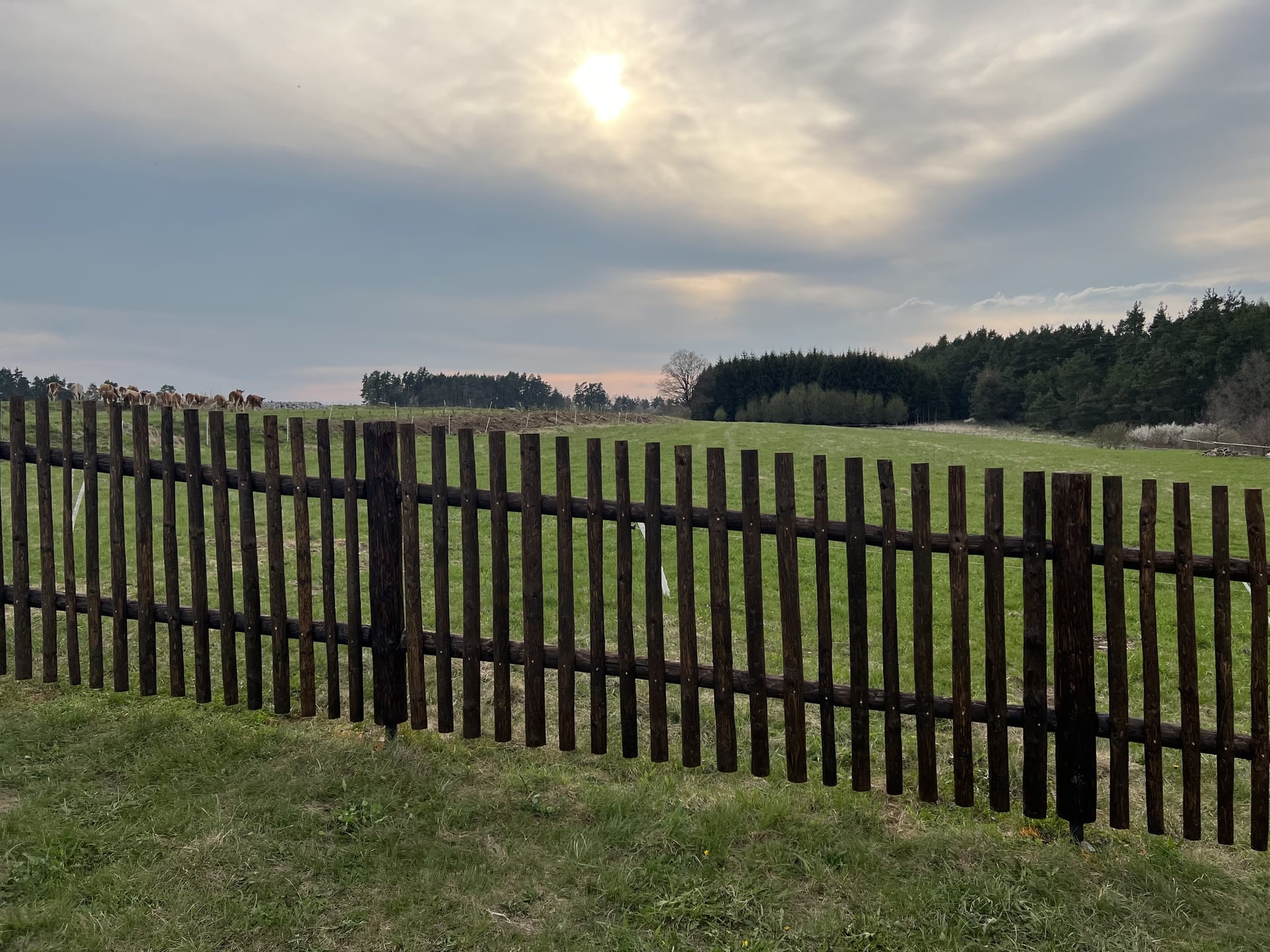 Obrázek 2 / Dřevěné ploty - strojně loupané   - realizace Velký Bor 4-2022